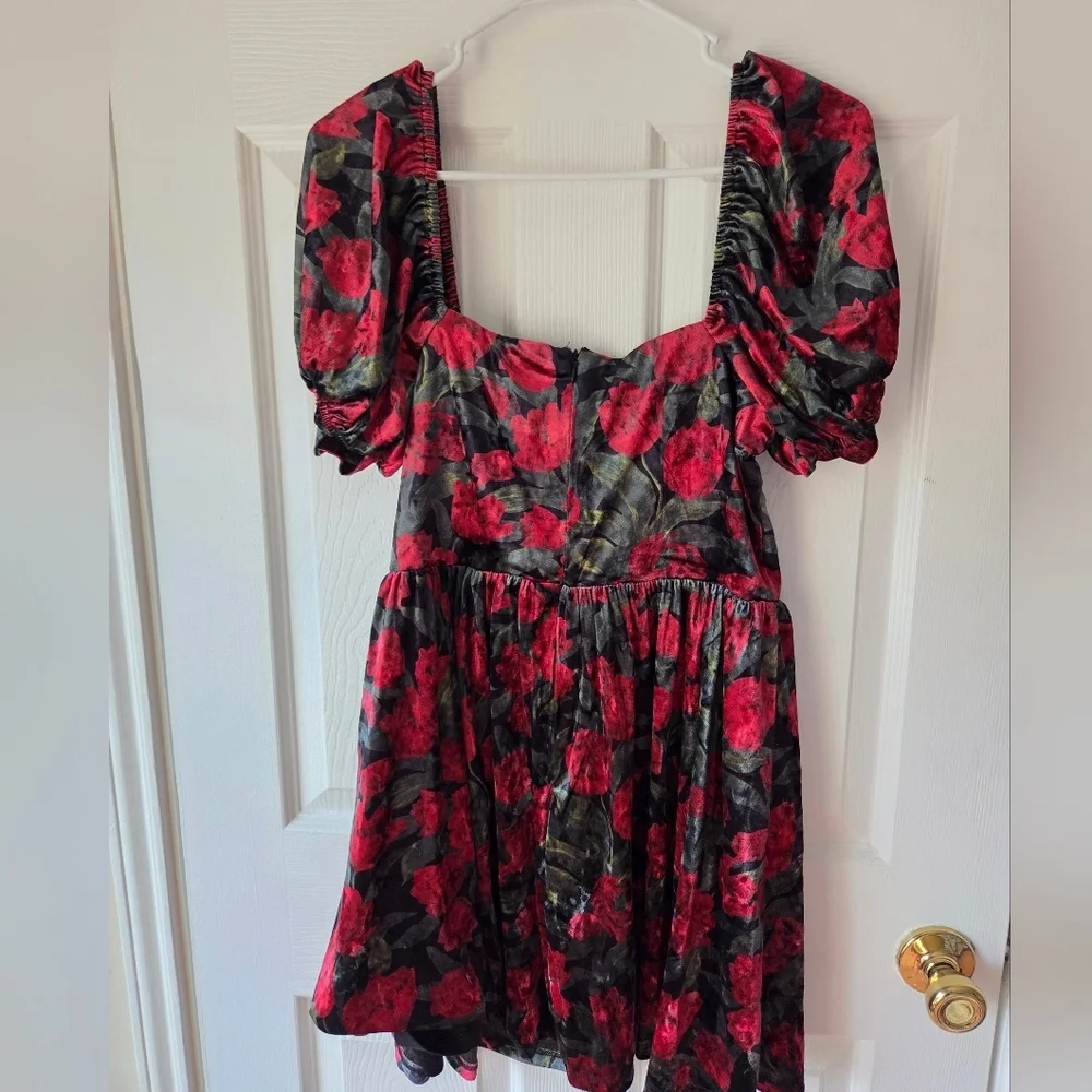 Petal and Pup Velvet Mini Dress M NWT Anders Black Red $99 Valentin'es Cocktail - Picture 5 of 9